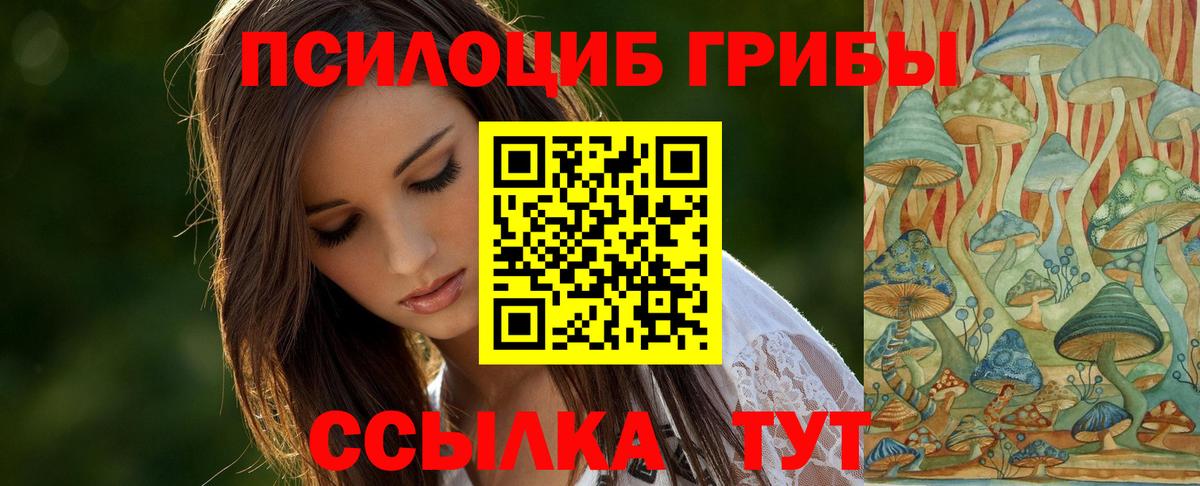 Псилоцибиновые грибы GOLDEN TEACHER Нижний Новгород