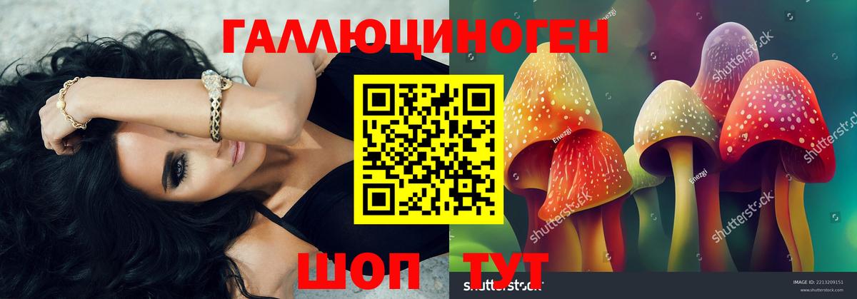 Галлюциногенные грибы Magic Shrooms  Псилоцибиновые грибы MAGIC MUSHROOMS  Вход с VPN  Нижний Новгород 